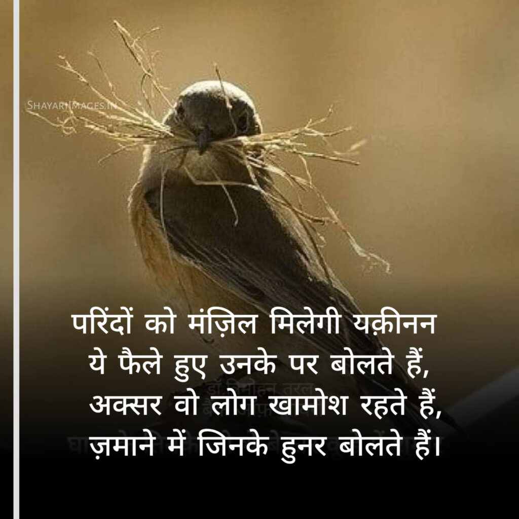 Motivational Shayari 