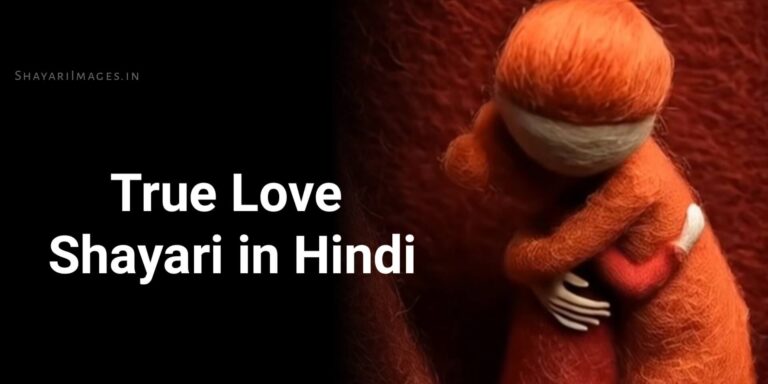 True Love Shayari in Hindi